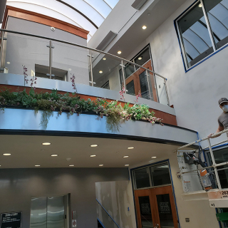 Commercial Interior Painting Transform your commercial space with professional interior painting - get a quote from our skilled team today!